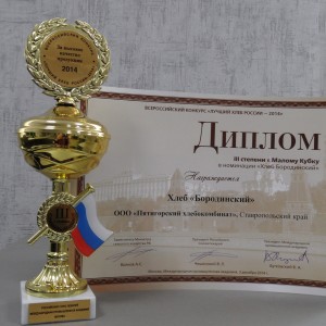 Награды всероссийских конкурсов